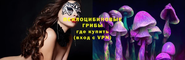 МДПВ Арсеньев