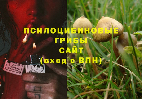 экстази Армянск